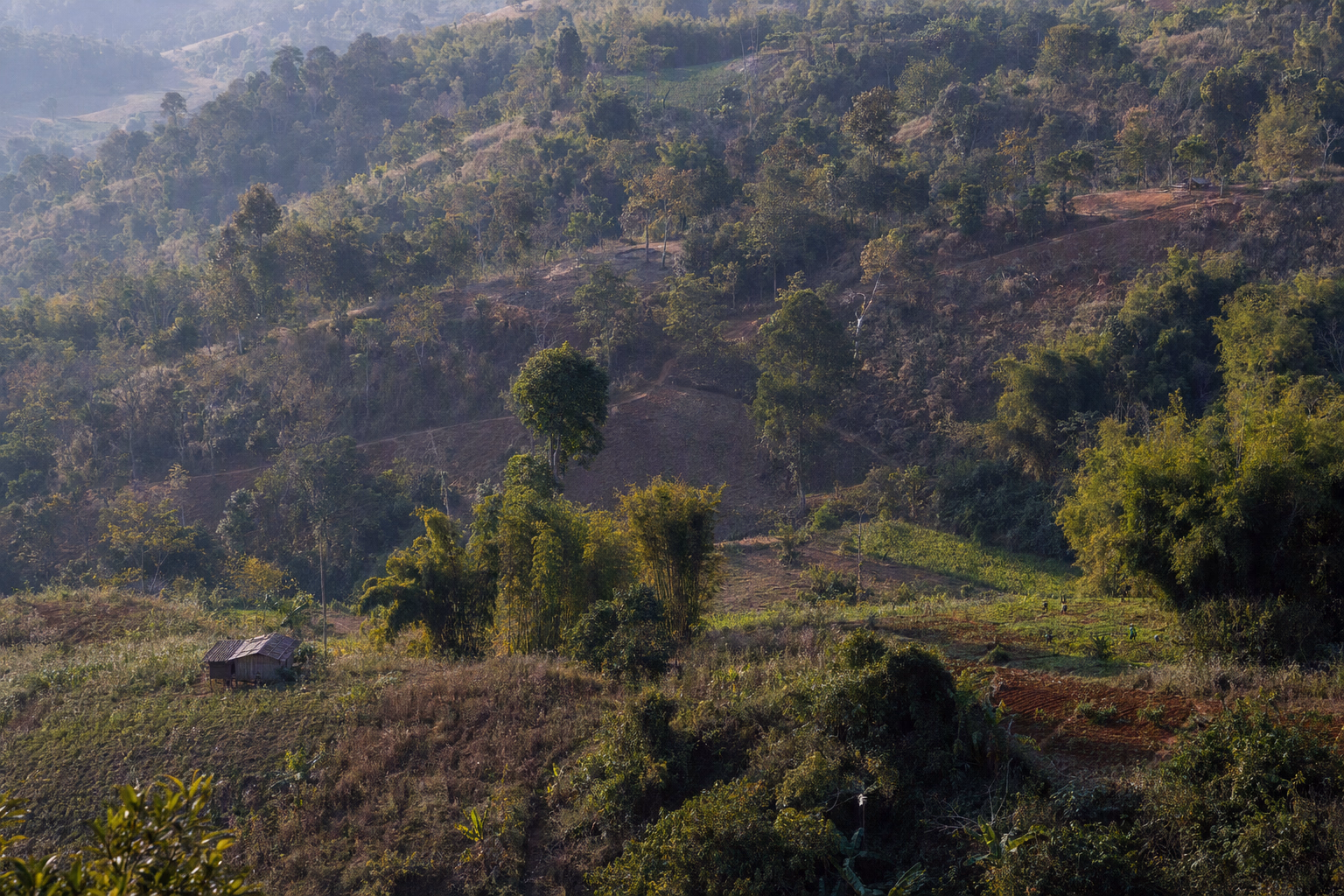 A generalized hill landscape showing mature forest patches, community-managed vegetation, several fallow stages, small cultivated clearings and connecting footpaths