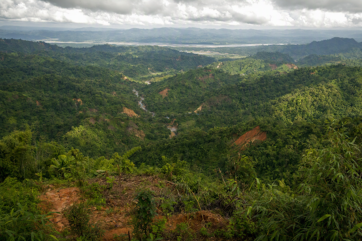 Steep folded green ridges and branching valleys after monsoon rain